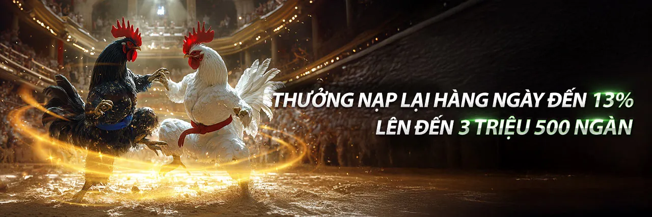 Đá gà trực tuyến kịch tính tại roobet chicken game