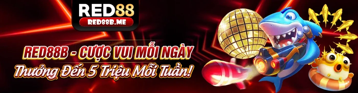Tải ứng dụng Roobet Chicken Game ngay