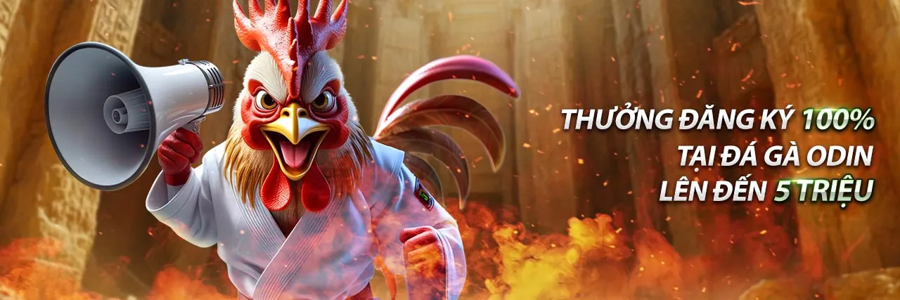 Xổ số Roobet Chicken Game – Cơ hội trúng lớn hàng ngày