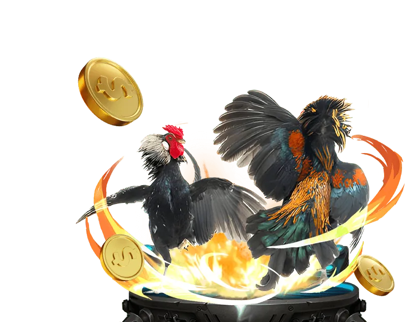 Thế giới giải trí đa dạng Roobet Chicken Game